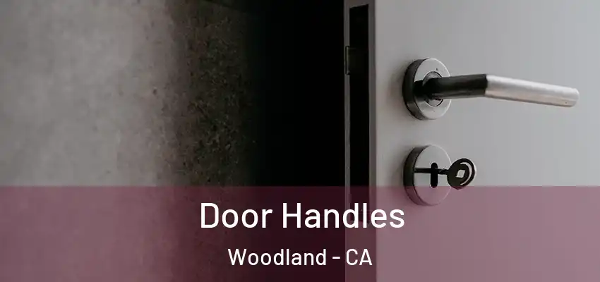  Door Handles Woodland - CA