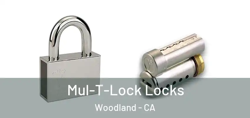  Mul-T-Lock Locks Woodland - CA